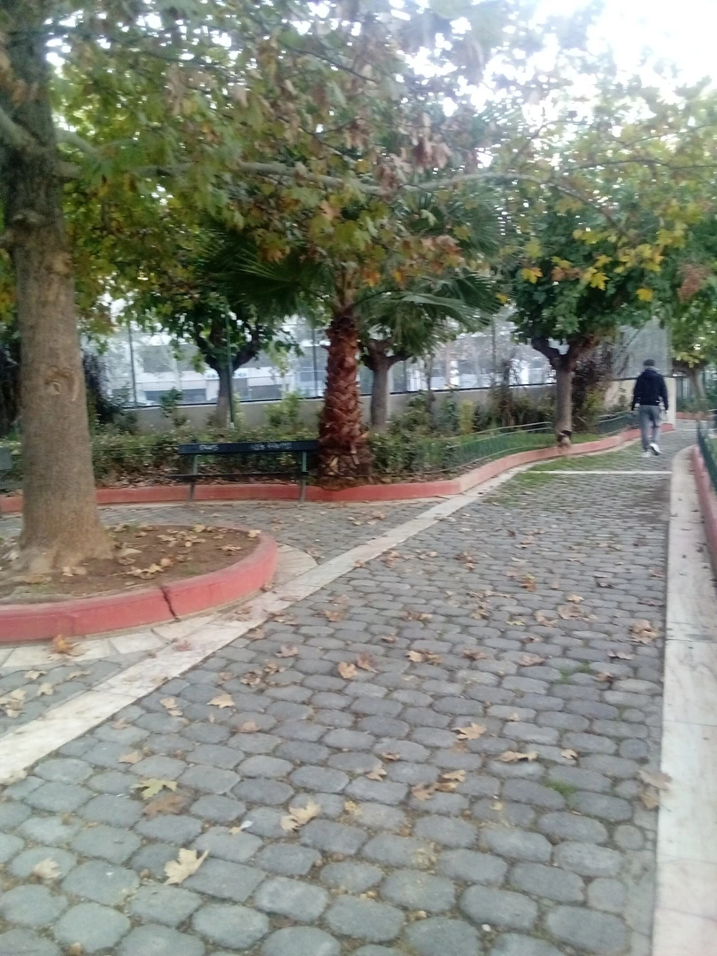 Πράσινος χώρος στην Αθήνα